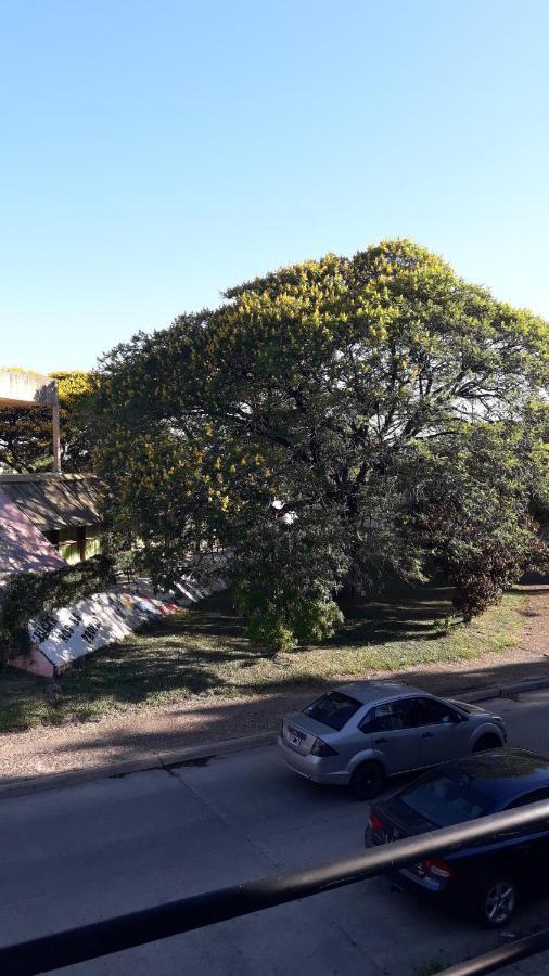 Apartment Anana Federacion
